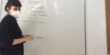Números decimales I