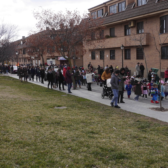 Pasacalles Carnaval 2018  2 32