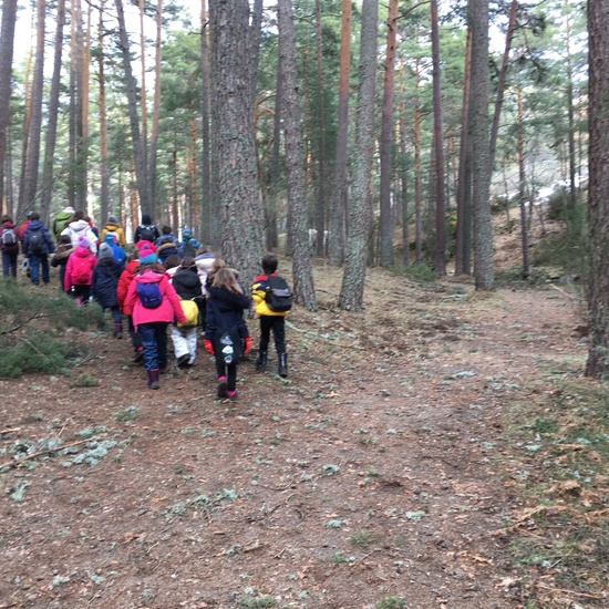 4ºC de Senderismo en la Boca del Asno_CEIP FDLR_Las Rozas 5