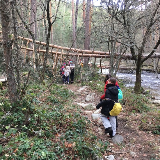 4ºC de Senderismo en la Boca del Asno_CEIP FDLR_Las Rozas 6