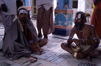 Sadhus (santones o ascetas) en el Templo de Brahma, Pushkar, Ind