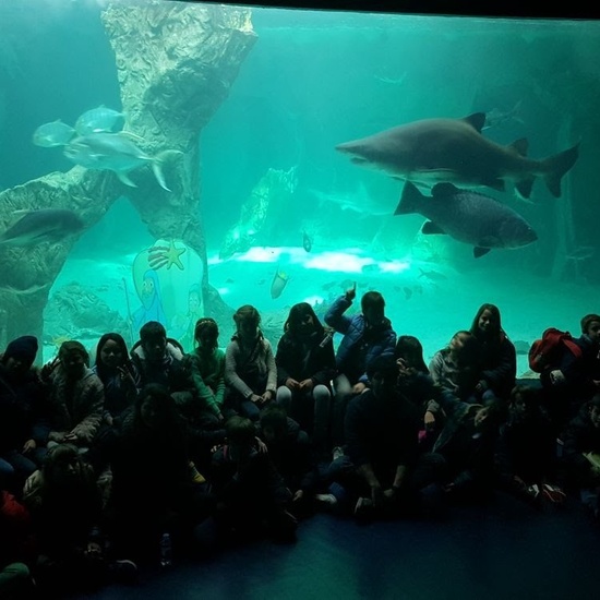 3ºE- Fotos Primer Trimestre 7