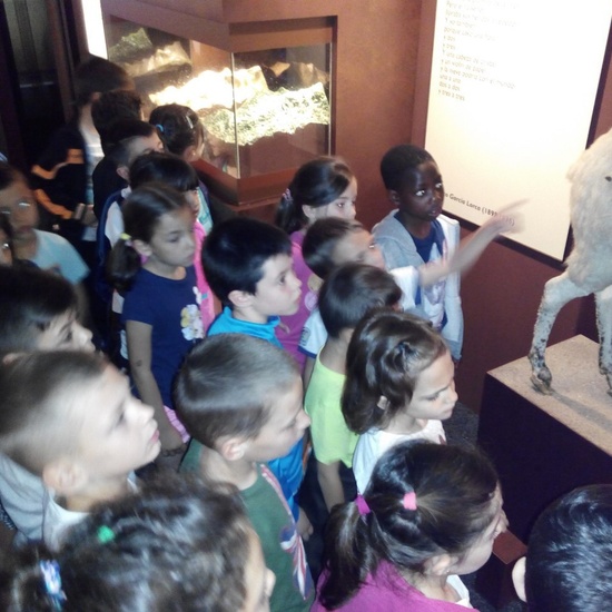 Visita a la exposición El Bosque. 1º 2º Primaria. CEIP Pinocho. 2016/17 25