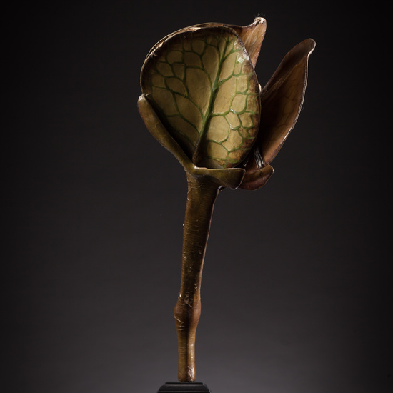 IES_ISABELLACATOLICA_BIOLOGIA_102