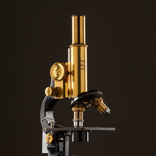 IES_ISABELLACATOLICA_BIOLOGIA_532