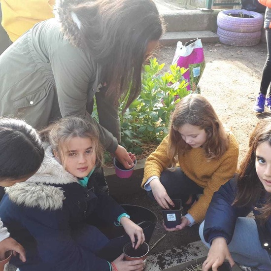 2020_02_13_4º planta en el huerto_CEIP FDLR_Las Rozas 2