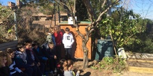 Quinto de Primaria_Taller de Huerto Escolar_CEIP Fernando de los Ríos_Las Rozas 2