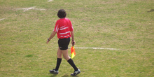 árbitro de rugby