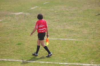 árbitro de rugby