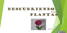 Flipped Classroom DESCUBRIENDO A LAS PLANTAS