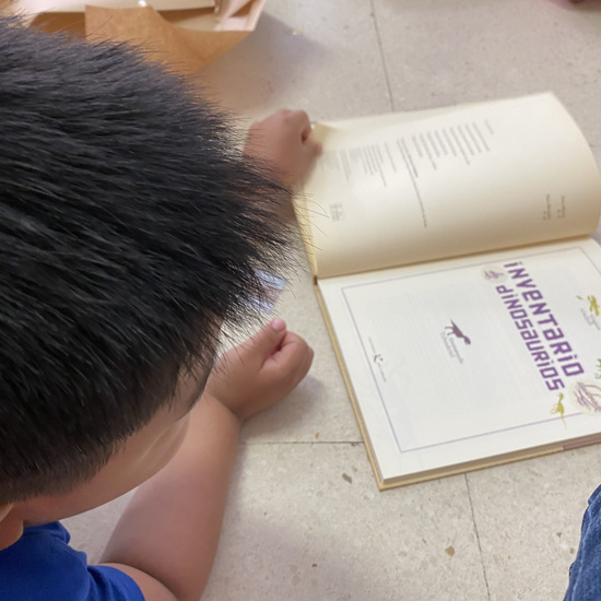 Regalo AFA Infantil 5 Años 31