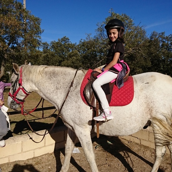 Mohernando 2017_2 20