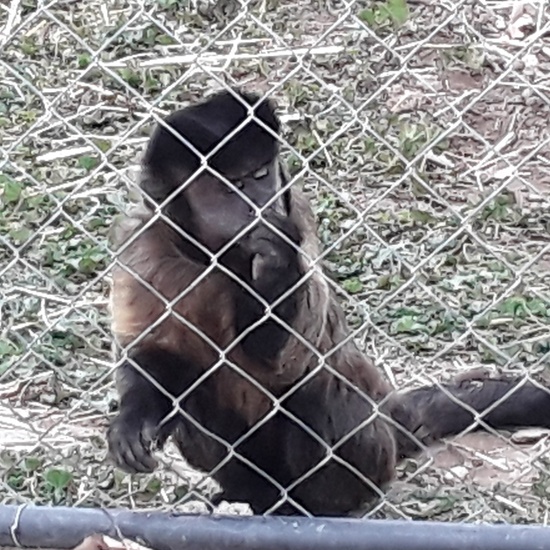 2020-01-15 visita rainfer 8