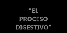 Video sobre el proceso digestivo