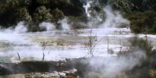 Valle geotérmico de waimangu en Rotorua, Nueva Zelanda