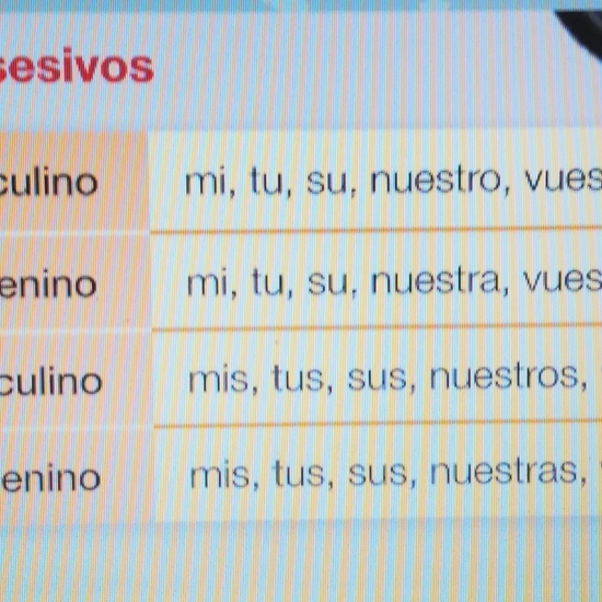 DETERMINANTES POSESIVOS