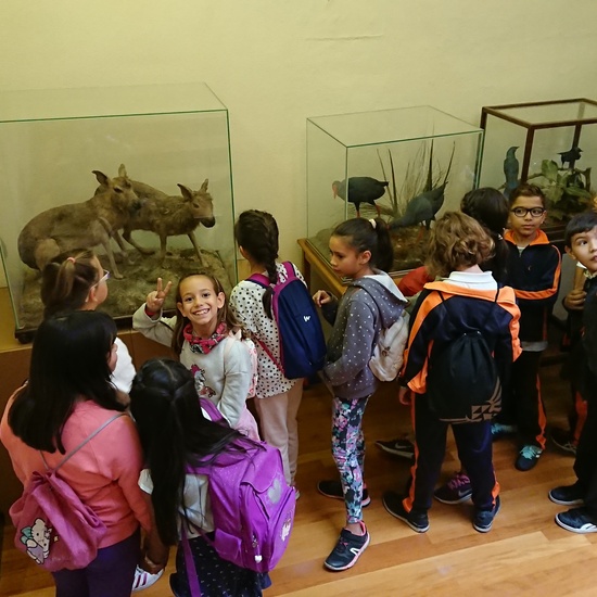 Excursión al museo de ciencias 6