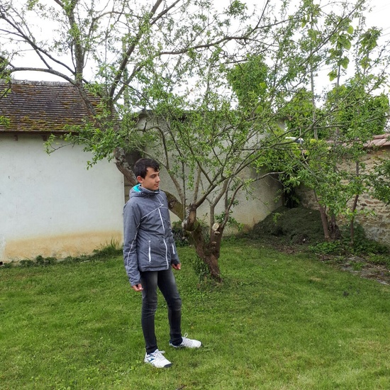 Intercambio Collège les Remparts. Abril 2017 19