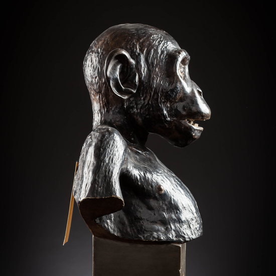 IES_SANISIDRO_MUSEO_Zoolgía_079