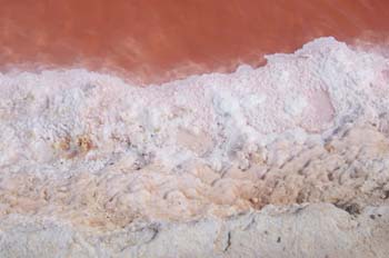Detalle, Lago salado de Chott el Jerid, Túnez
