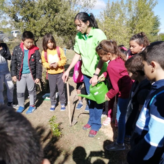 Salida Bosque Sur.3º de Primaria. Octubre 2019 9
