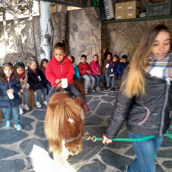 Granja de los Cuentos Infantiles II 16