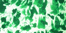 Composición pictórica en verde