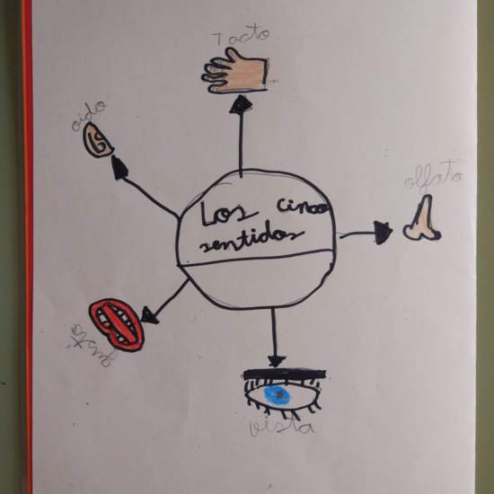 [Lapbook] - Mi atlas del cuerpo humano (3º de primaria) - IMAGEN 12