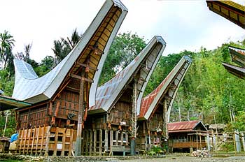 Casas barco y vista de los pilotes que las separan del suelo, Su