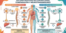 Infografía de Biología