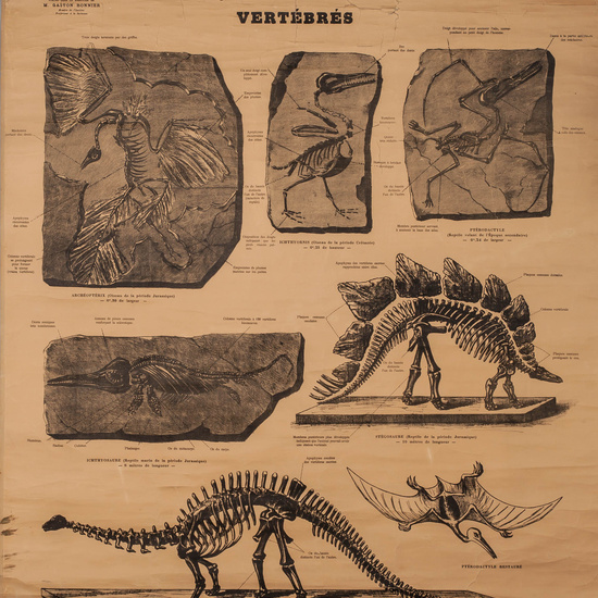 IES_RAMIRODEMAEZTU_BIOLOGIA_021