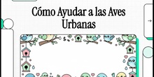como ayudar a las aves (para familias)
