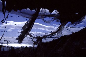 Invernaderos rotos, Canarias