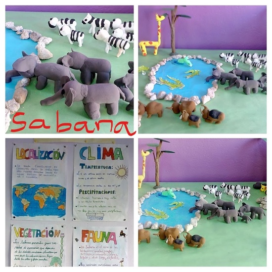 ECOSISTEMAS 5º CURSO 4