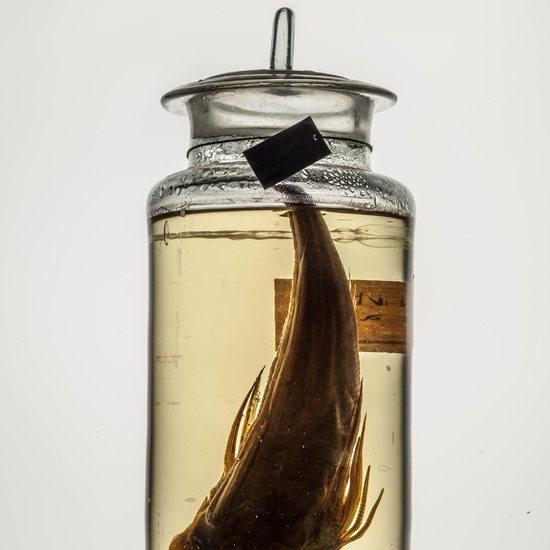 IES_CARDENALCISNEROS_CIENCIASNATURALES_136