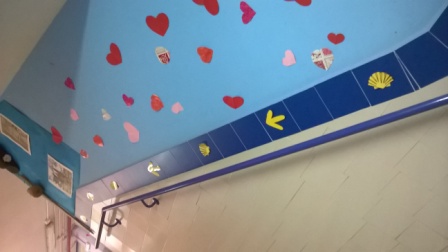 S.C Comunidades Autónomas 37