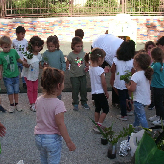 planeta vivo planeta justo 7