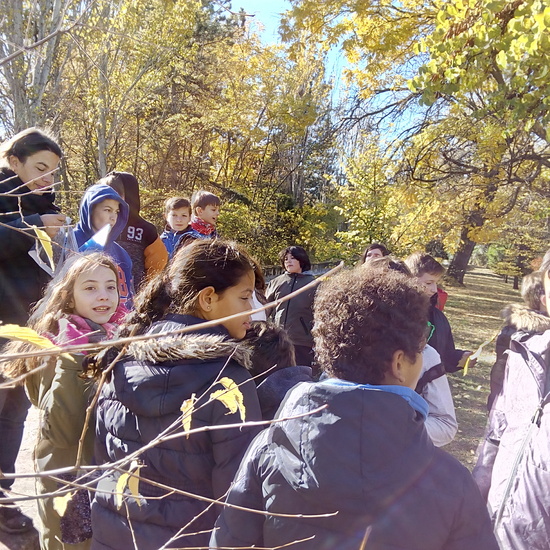 VISITA CARABANCHEL. 6º 5