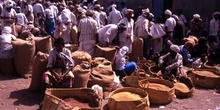 Mercado de grano en Bayt al Faqih, Yemen