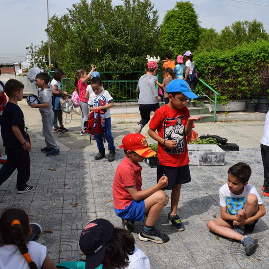 Siembra Huerta Balta 1 5 años 2018 3