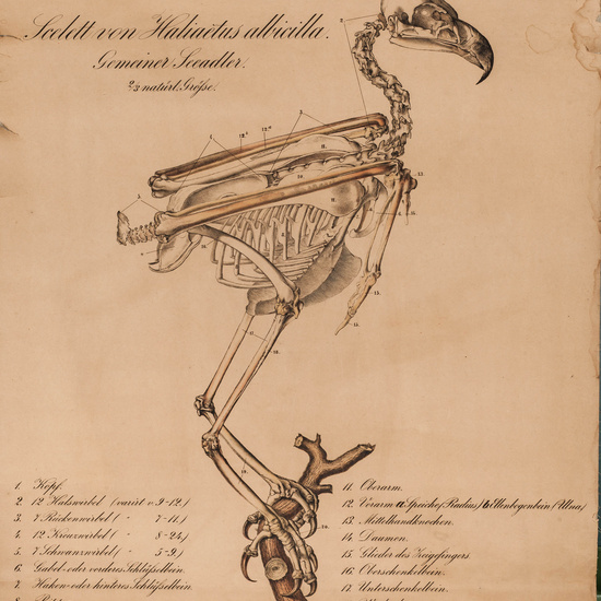 IES_LOPEDEVEGA_CIENCIASNATURALES_021