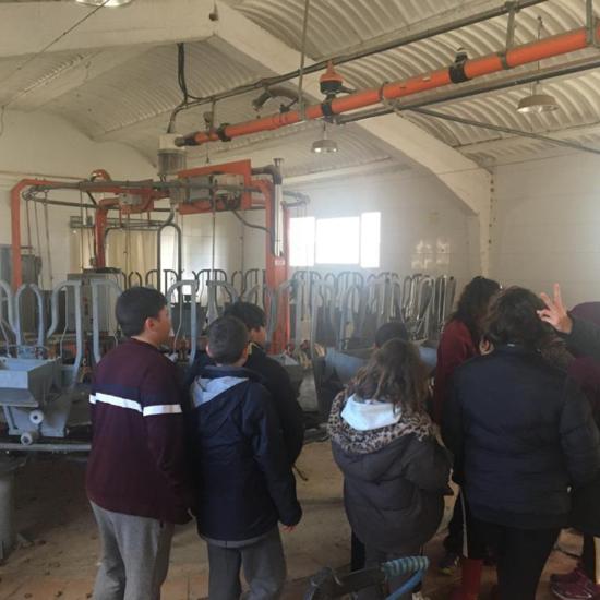 Albergue 6º - 2º día (mañana) 33