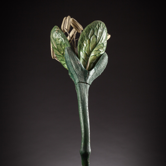 IES_ISABELLACATOLICA_BIOLOGIA_117