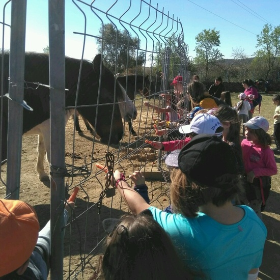 SALIDA A NUESTRO ENTORNO 25