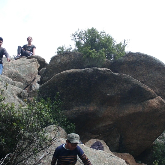 NIÑAS/OS DE 5º NATURALEZA VIVA EN LA PEDRIZA. HOSTOS POR EL PLANETA 4