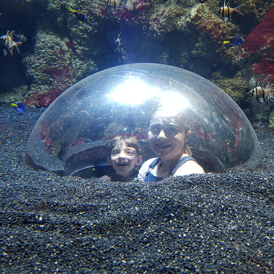 Aquarium Xanadú II 3ºB  13