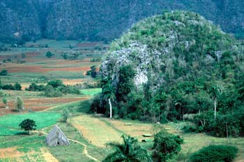 Paisaje rural