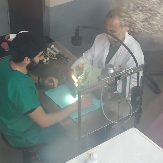 Salida 5º de Primaria al centro recuperación animal GREFA 3