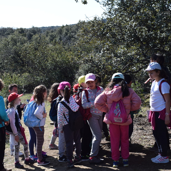 Sendero Vivo 3º Primaria 2018 11