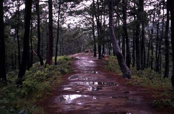 Grupo de personas dirigiéndose al Santuario de Pascual Abaj en C